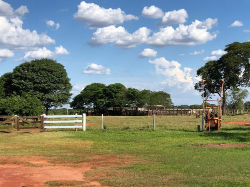 Imagem 12 de 13 de Fazenda Para Venda Em Nova Alvorada Do Sul, Rural - Fazgu 600_1-1946712