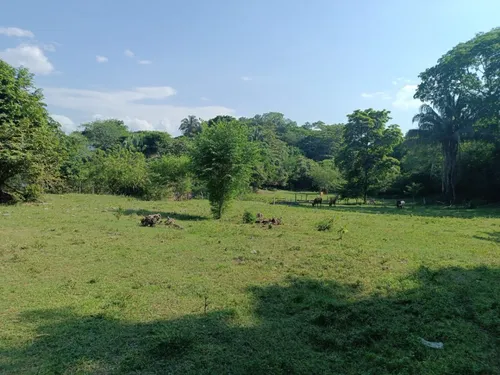 Espectacular Finca