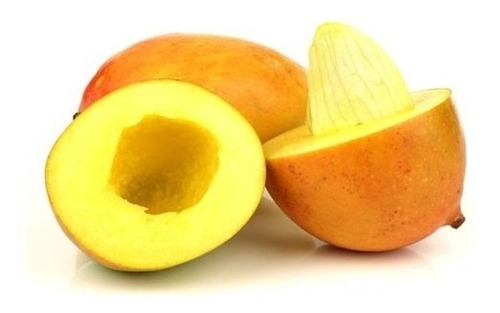 Imagen 4 de 6 de Mango Seed Balance 65 Caps