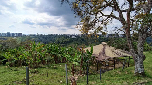 Se Vende Lote En La Vía Chaguala Armenia, Quindio