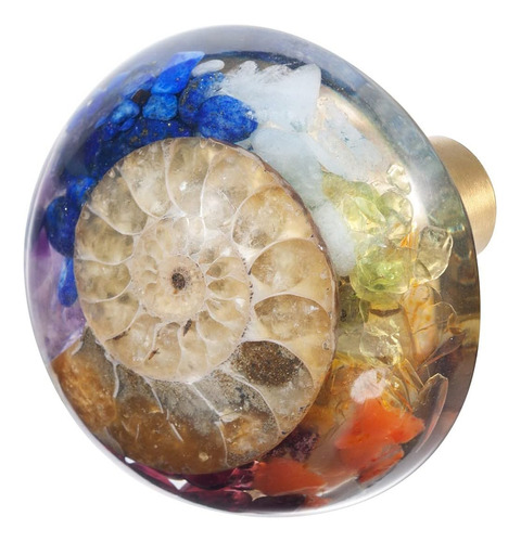 Sunyik 4pcs 7 Chakra Ammonite Fossil Pierras Cajas Con Canti