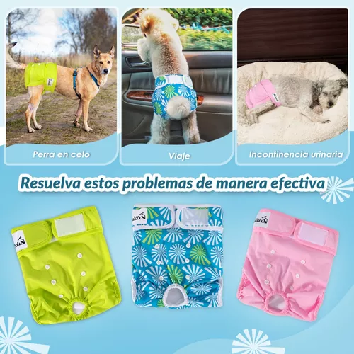 Pañal Ecológico Para Perros/gatos Incontinencia Y Celo - Macho diseño 1 —  Lasa