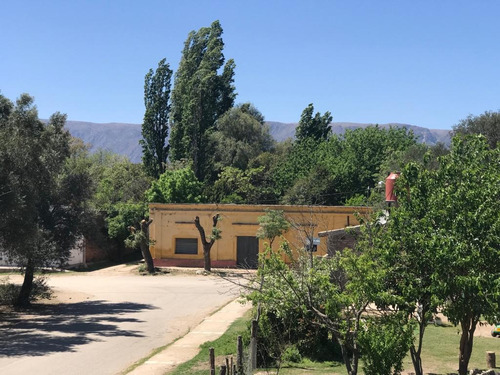 Dueño Vende Loft, Dptto Y Casa En Ph - Anticipo 50%
