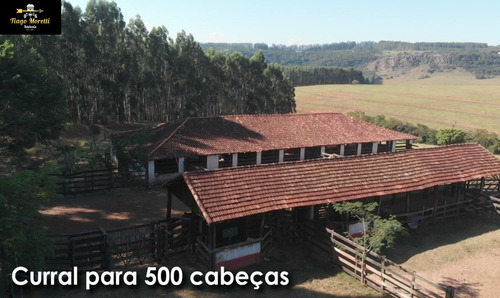 Imagem 10 de 19 de Excelente Fazenda Á Venda Com Ótima Localização Sarutaiá-piraju - Fa00036 - 68204645