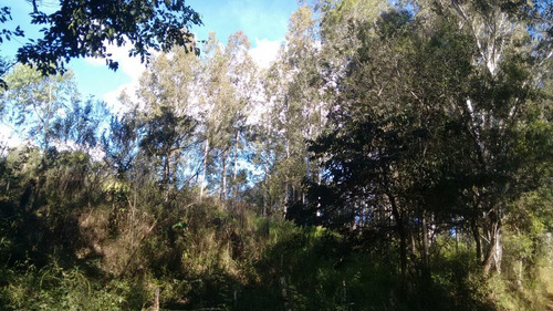 Sitio Com 50.000 Metros Quadrados Em Caxambu Sul De Minas , 09 Klm Da Cidade, Muita Água,bom Para Piscicultura, 03 Lagos Com Peixe. - 246