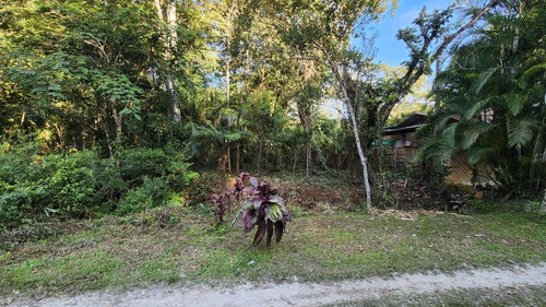 Imagem 1 de 8 de Terreno Com 500m² No Guaraú A 600 Metros Da Praia - Excelente Localização
