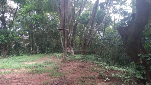 Imagem 3 de 8 de Área À Venda Em Vila Gallo - Ar002193