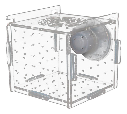 Caja Para Criador De Peces, Caja De Cría Con 6cmx6cmx6cm