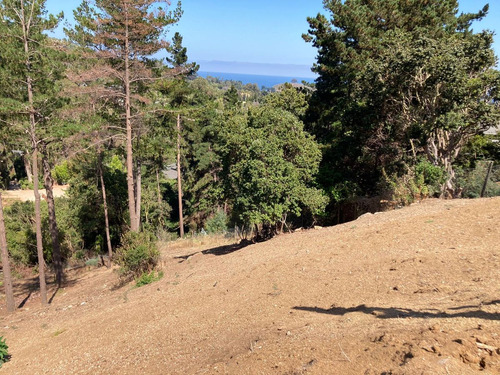 Terreno Excelente Ubicación A 2 Calles De Playa En...