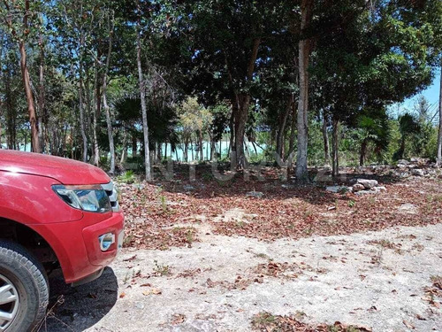 Imagen 9 de 18 de Terreno En Venta Frente A Laguna Chile Verde Cerca De Chetumal Em02021