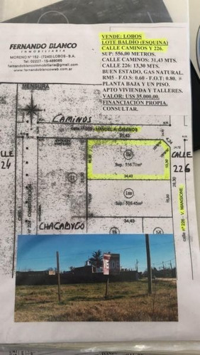 Imagen 3 de 3 de Terreno En Venta En Lobos