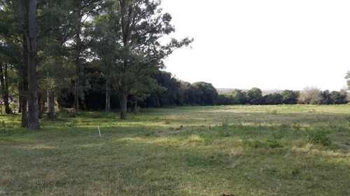 Imagen 6 de 7 de Zona Abadia, Lotes De 1.000 M2 Arbolados Sobre Ruta