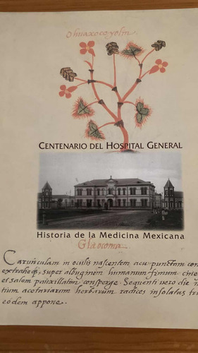Centenario Del Hospital General: Miguel Leon-portilla