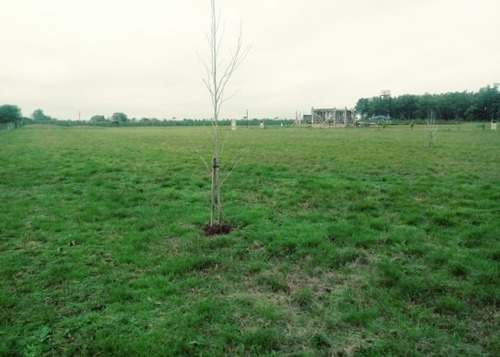 Vendo Lotes Barrio Privado, Superficie De 600 M2!!!