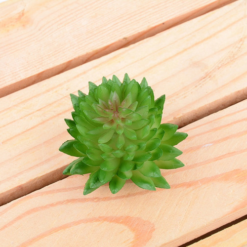 6pcs Simular Plantas Suculentas Realistas Adornos De Escrito