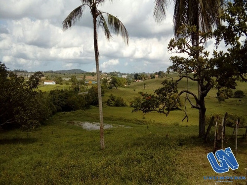 Imagem 8 de 14 de Fazenda Com 118 Tarefas Em São Sebastião Do Passé - Bahia - Afd046 - 70528054
