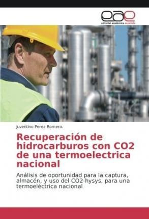 Libro Recuperacion De Hidrocarburos Con Co2 De Una Termoe...