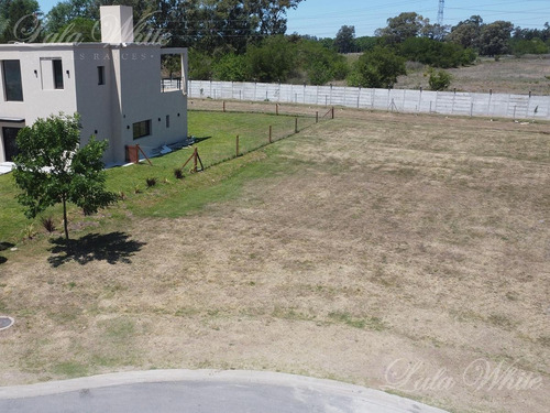 Imagen 5 de 13 de Venta - Lote En Terralagos