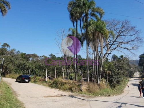 Imagem 4 de 5 de Terreno Residencial À Venda, Jardim Das Lavras Mirim, Suzano/sp. - Te0124 - 68334521