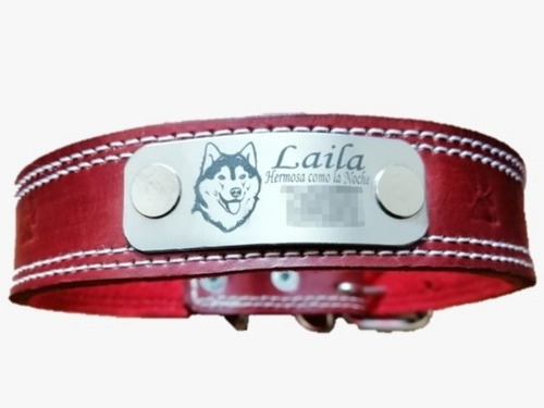 Collar Con Id Piel/acero Inox Razas Medianas