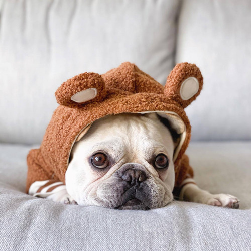 Suéter De Felpa Moderno Con Diseño De Bulldog Francés, Talla
