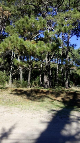 Lote En La Reserva De Costa Del Este De 2196,42 M2