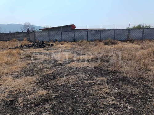 Terreno En Venta En Chinconcua, Municipio De Emiliano Zapata, Morelos