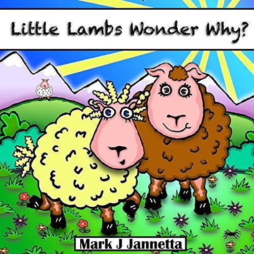 Little Lambs Wonder Whyr