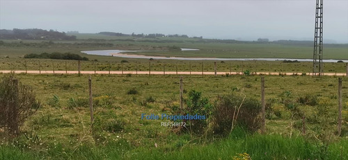 Imagen 2 de 11 de Jose Ignacio Venta Buena Chacra 5 Has Sobre Ruta 9 Cw148172 Cw148172