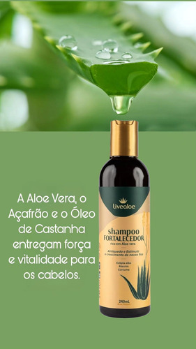 Shampoo Fortalecedor Rico Em Aloe Vera 240ml