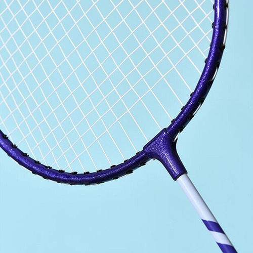 Juego De Raquetas De Bádminton Premium: Equipo Púrpura