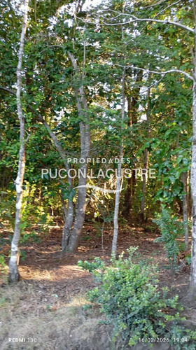 Parcela A Minutos Del Lago Caburgua (171361)