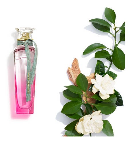 Imagen 1 de 2 de Perfume Mujer Agua Fresca Gardenia Edt 120 A. Dominguez