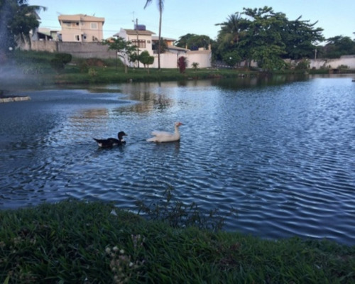 Imagem 16 de 18 de Casa - Js118a09 - 32013268