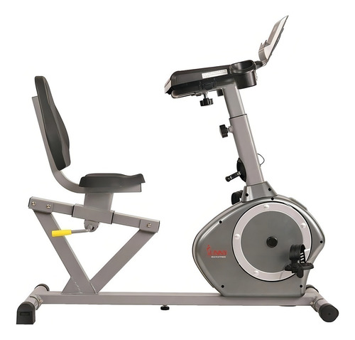 Bicicleta fija Sunny Health & Fitness SF-RBD4703 color gris