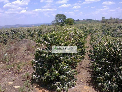 Imagem 13 de 16 de Fazenda Rural À Venda, Zona Rural, Nepomuceno - Fa0005. - Fa0005