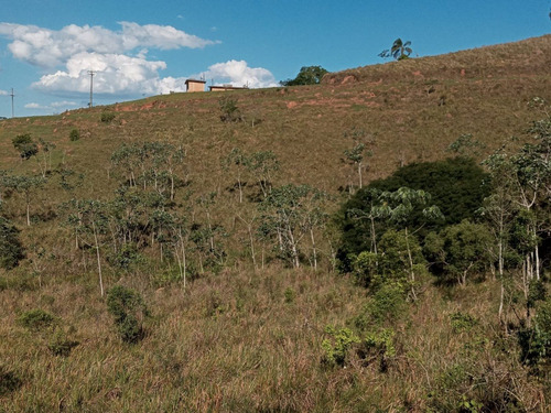 Imagem 19 de 27 de 03t- Bora Tenho Alta Promoção De Terreno Regular