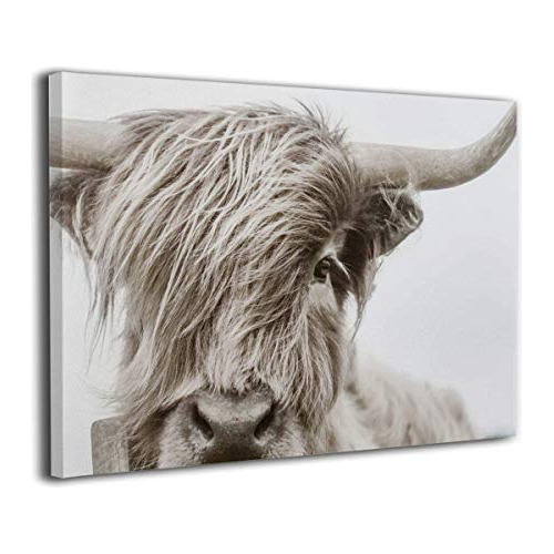 Hd8yehao Highland Cow Photo Modern Pinturas Canvas Qfh29