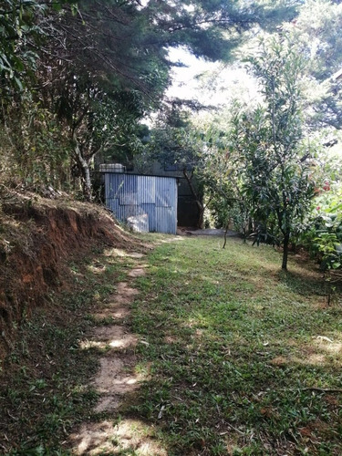 Imagen 13 de 14 de Urge Vender Propiedad Con Casa Grande De Dos Pisos