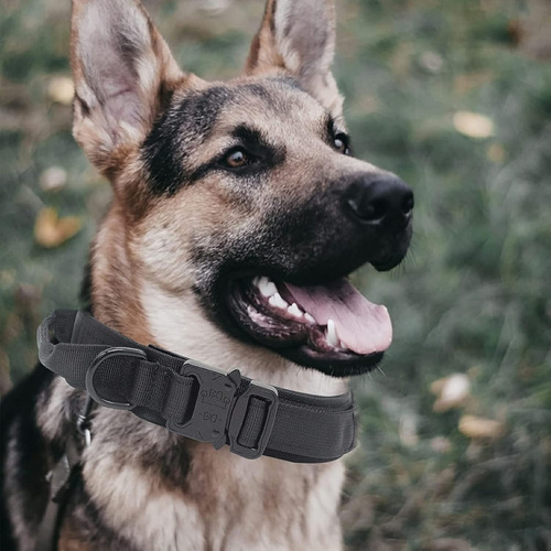 Juego De Collar Y Correa Táctica Para Perro, Correa Elástica