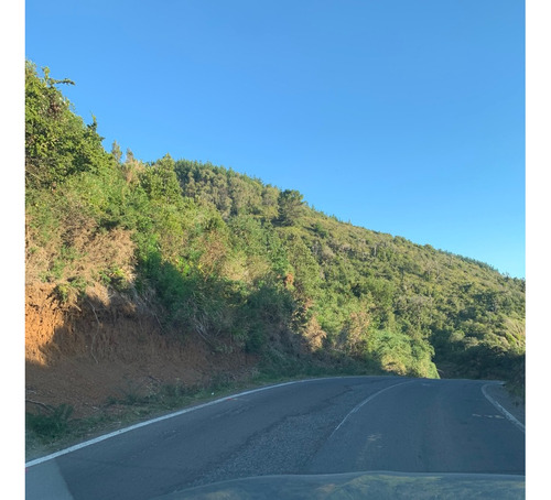 Parcela De 6.000m2 Playa La Misión Orilla Camino Valdivia.