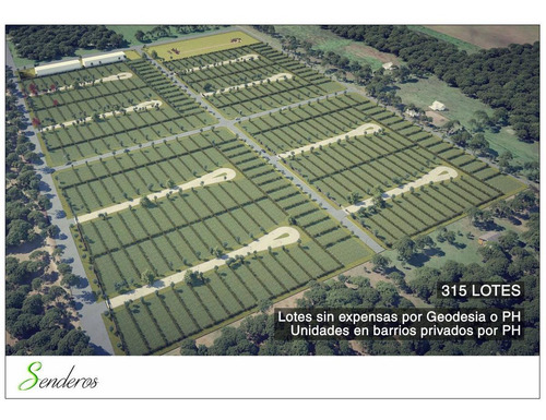 Imagen 5 de 30 de Lote En Venta En Gorina | 501y161 | Senderos (abierto) Mza.c-lote 10