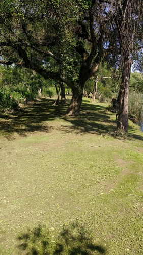 Lote Quinta Arroyo Ñacurutu Zarate