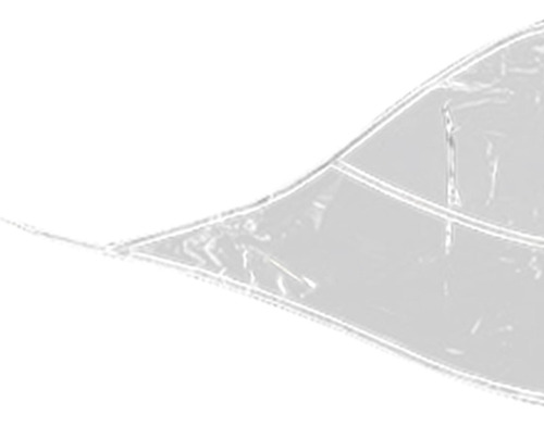 Gorro Impermeable, Gorro Impermeable Plegable Para Viajar,