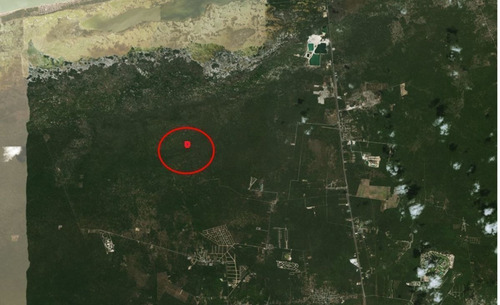 Imagen 3 de 4 de Terreno En Venta En Sierra Papacal De 4 Hectáreas