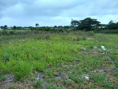 Imagem 5 de 5 de Terreno Lado Serra Com 271 M2, Em Itanhaém-sp 7485-pc