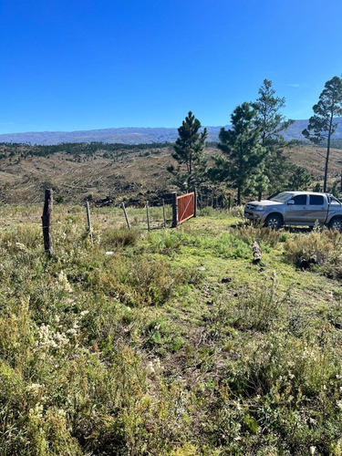 Imagen 6 de 15 de Venta De Campo 207 Hectáreas En Villa Alpina - Tlc0681