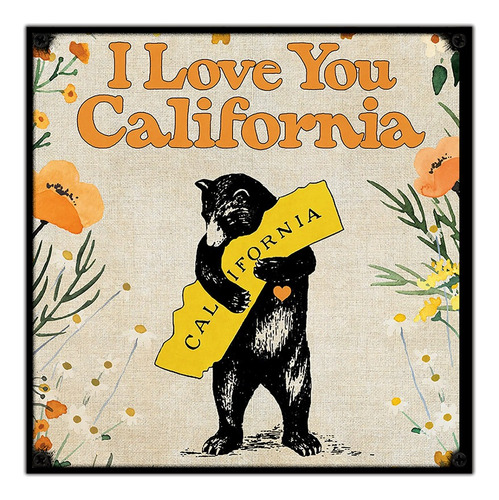 #309 - Cuadro Vintage 30 X 30 - Oso California No Chapa