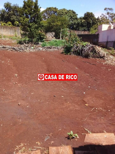 Imagem 8 de 10 de Terreno - 1443