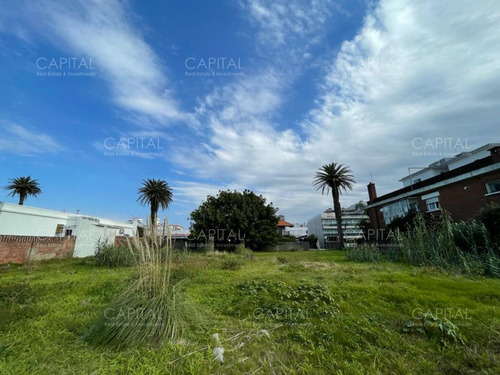 Imagen 10 de 11 de Excelente Terreno En Venta - Península Punta Del Este - Punta Del Este Peninsula